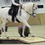 trainingstips-brug